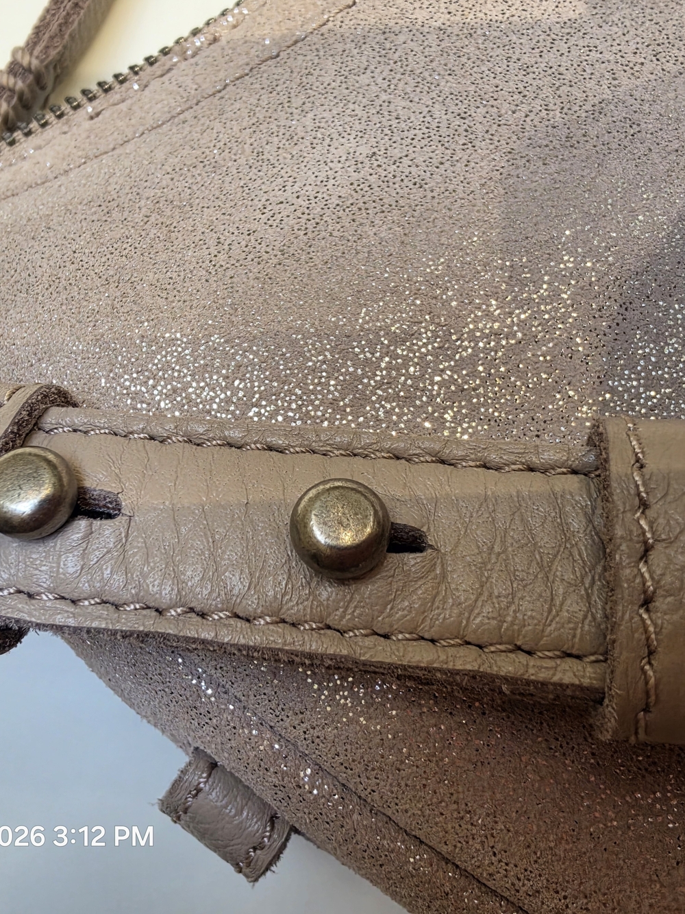 NWT The Sak Tess Crescent Shoulder Bag Sand Sparkle Suede Shimmer Boho - Picture 10 of 10